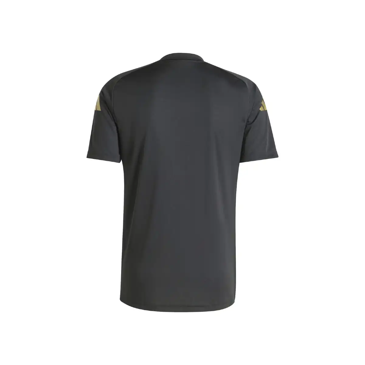 ARG_Warm_up_Back.webp