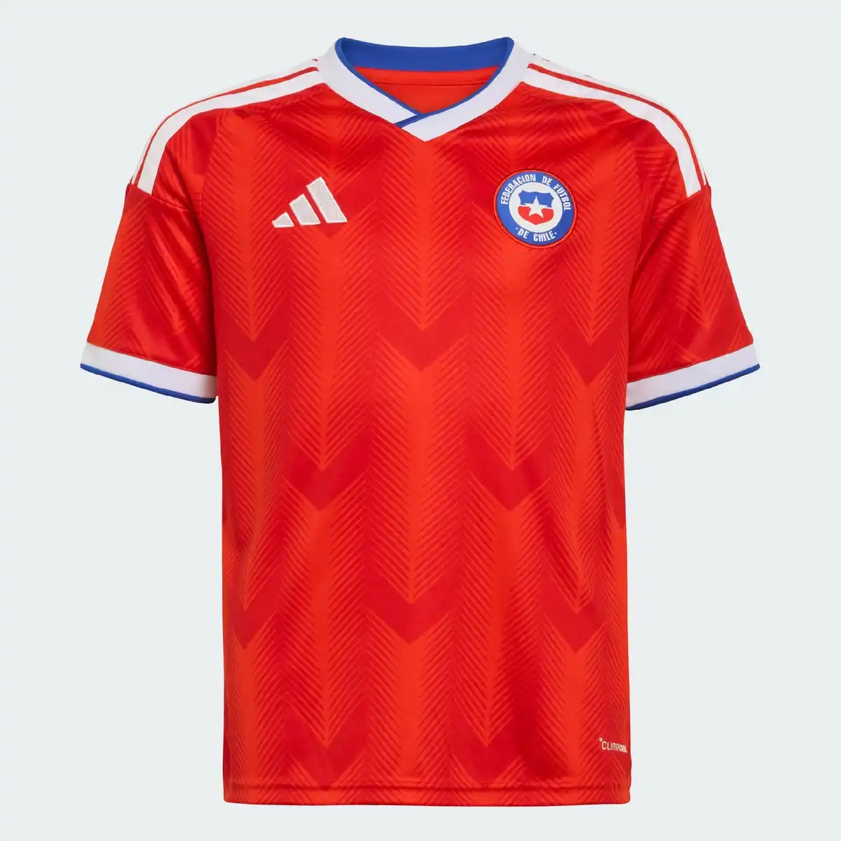 CHILE_1_Y.webp