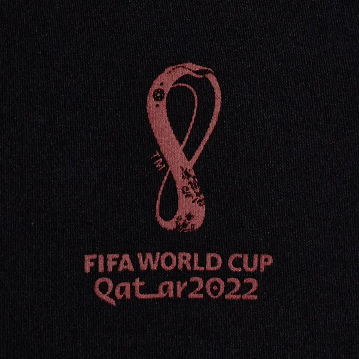 FIFALS002002_4.webp