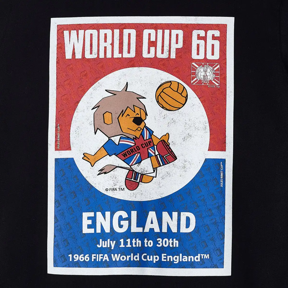 FIFAMS0124_4.webp