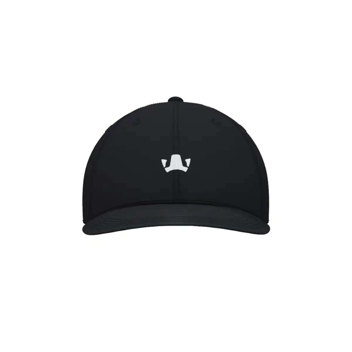 FIFAe_Cap_1.webp