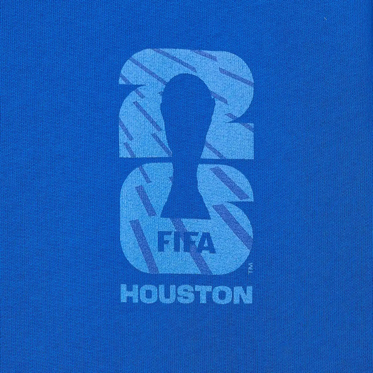 HCHoustonHoodie_4.webp
