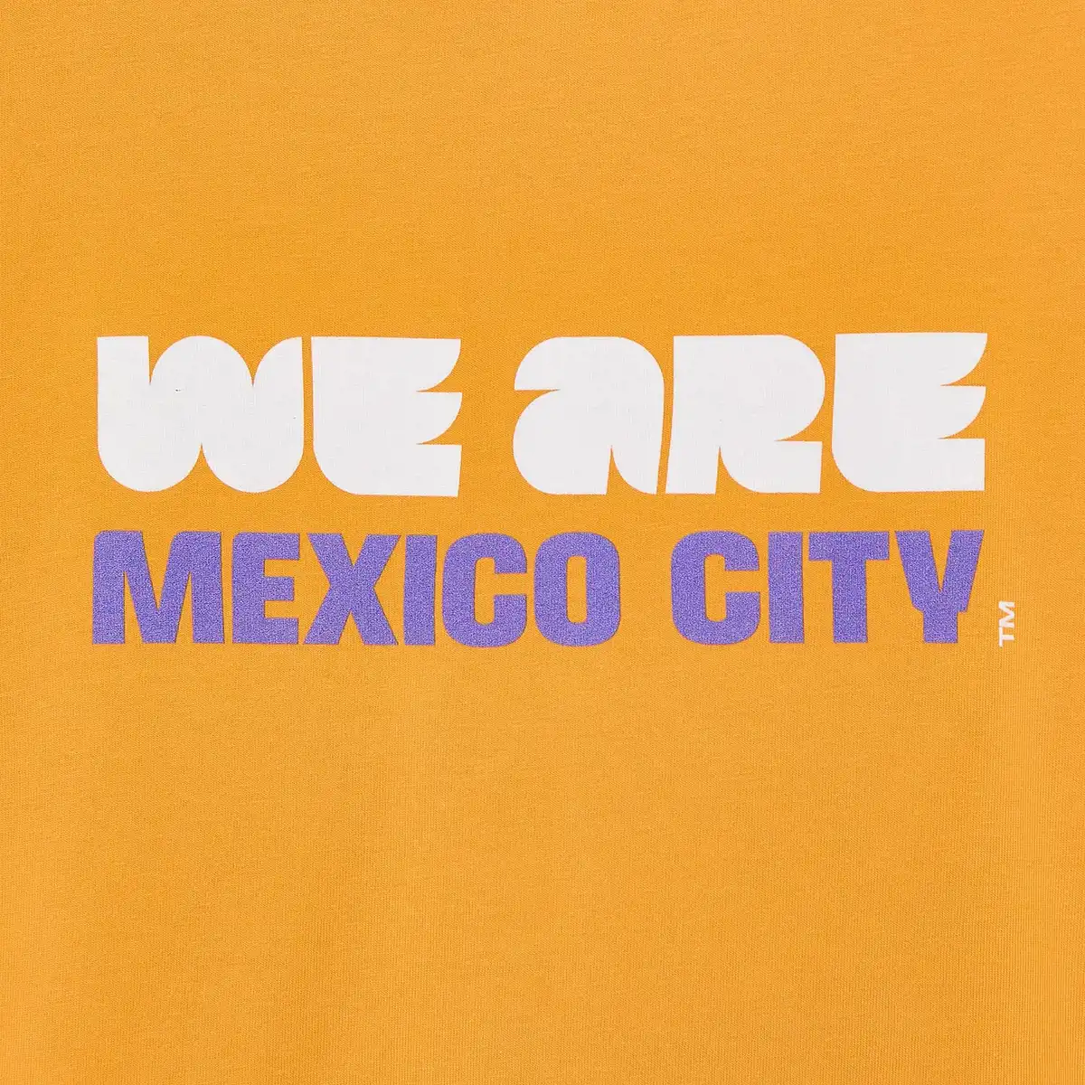 HCMexicoCityTShirt_4.webp