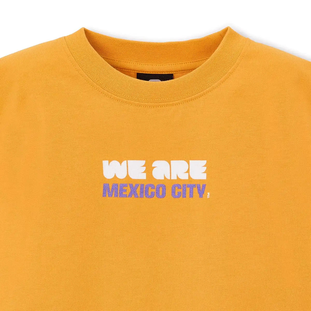 KidsHCMexicoCityTShirt_3.webp