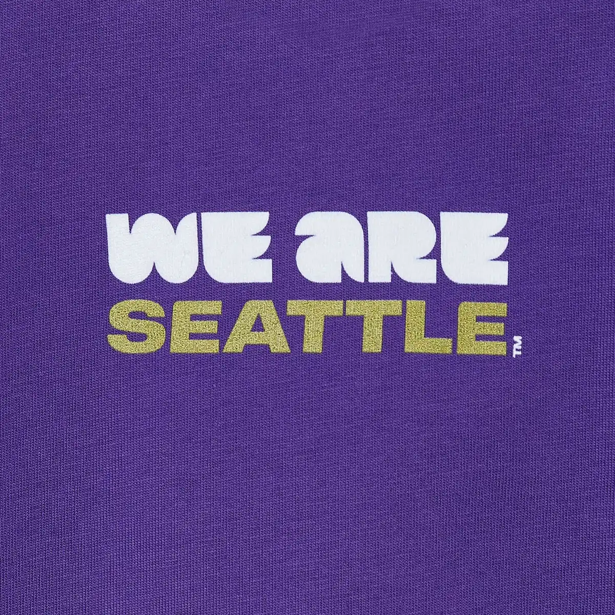 KidsHCSeattleTShirt_4.webp